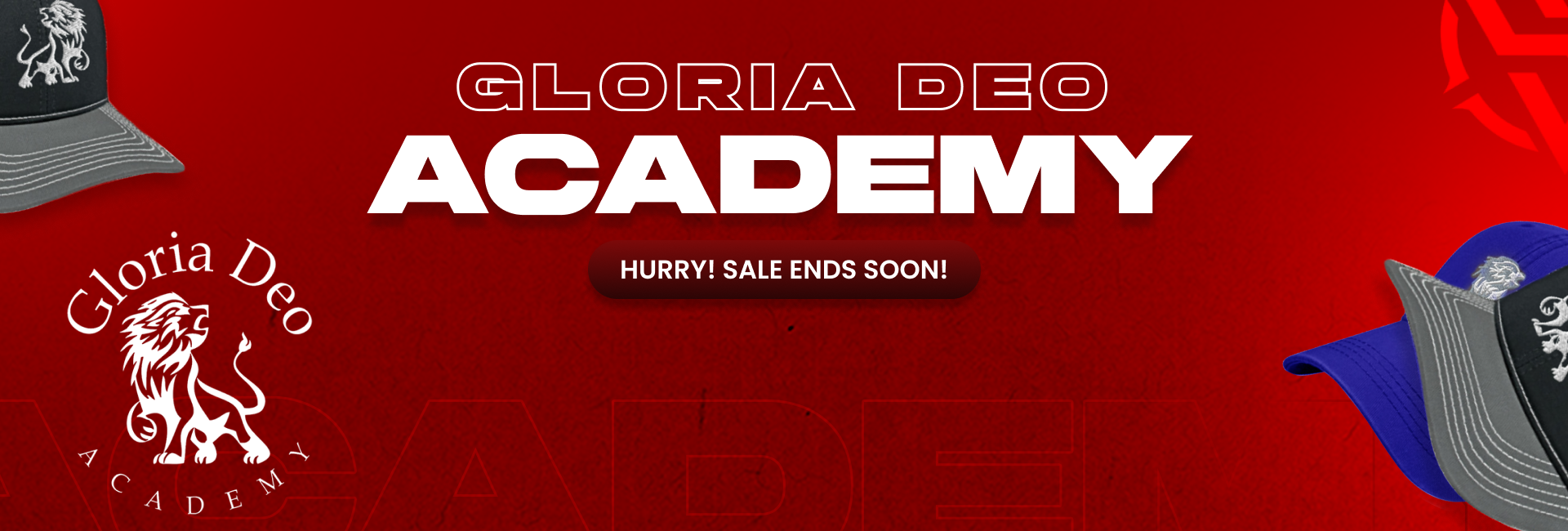 Gloria Deo Academy Lions Hat Campaign test – Show Me Custom Apparel Stores